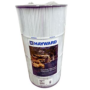 Cartouche CX760RE filtre Star Clear C751 HAYWARD