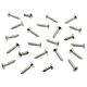 Kit de vis 60655 tous skimmers & Skimfiltres GM (sauf A300) WELTICO