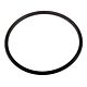 Joint torique 292.1141.255 98x5mm de diffuseur pompe SPECK