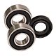 Kit roulements SPX62032RS2 pompe Hayward
